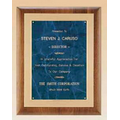 Frost Gold Back Plate w/ Bright Gold Embossed Frame Plaque (11"x14")